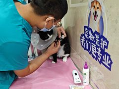 -北京观赏动物医院·24小时大型综合·猫专科·异宠专科
