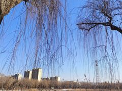 -大兴滨河森林公园