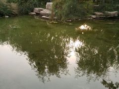 -九号公馆(秦岭路店)