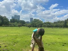 -艾溪湖湿地公园