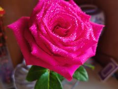 -FEI FEI FLOWER鲜花店·气球派对·宝宝宴布置(虹口德必运动Loft店)