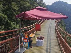 -少华山国家森林公园