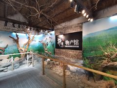 -井塘古村