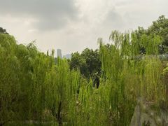 -苏州吴宫泛太平洋酒店