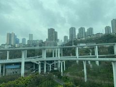 -南山植物园