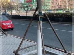 -老爆肚满五香烧牛羊肉