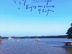 -上海海湾国家森林公园