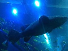 -成都浩海立方海洋公园