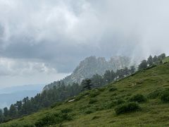 -芦芽山旅游度假区