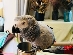 -森野花艺培训·企业团建活动沙龙