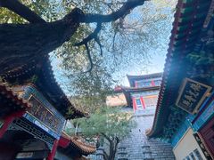 -千佛山风景名胜区