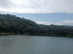 -佛山市三水区大南山森林公园