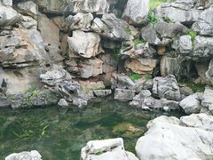 -沙湖公园