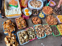 -云南木水花野生菌交易中心