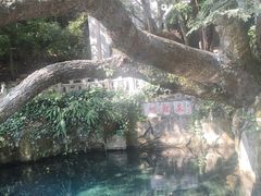 -蝴蝶泉公园