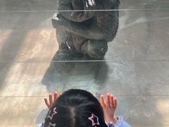 -石家庄市动物园