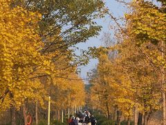 -白鹭湾湿地公园