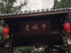 -青城甲(青城山店)