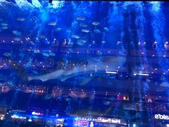 -成都浩海立方海洋公园