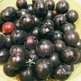 酸酸甜甜的嘉宝果