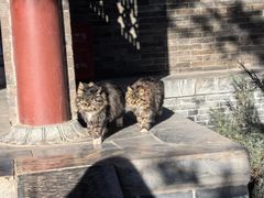 -晋祠公园