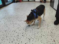 -瑞派康怡24h宠物医院·犬猫医疗中心·微创绝育(瑞景分院)