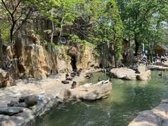 -燕塞湖鸟语林景区