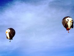 -布里斯托尔国际热气球节