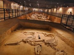 -洛阳周王城天子驾六博物馆