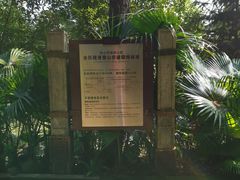 -铁山坪森林公园