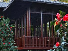 -深圳国际园林花卉博览园