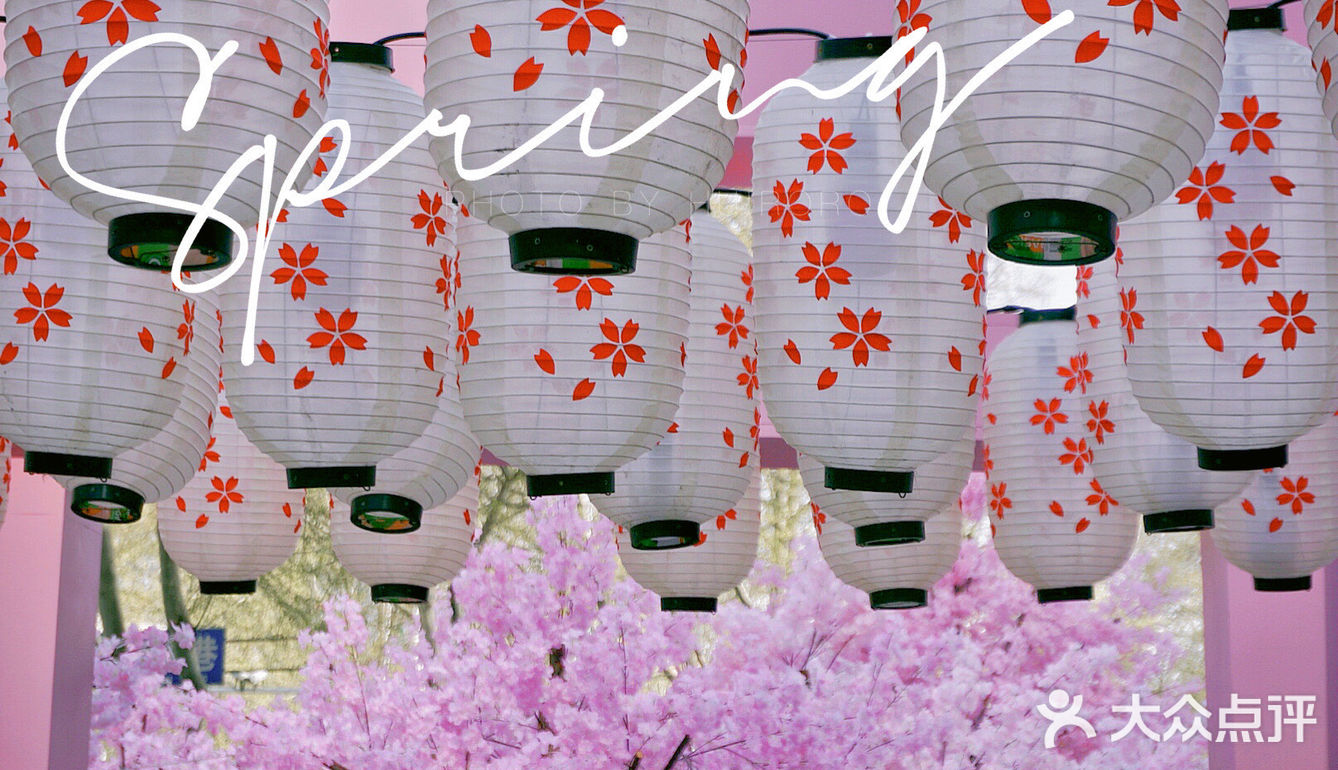 春日踏青攻略🌸｜金陵的“粉色樱花季”在金茂汇延续着…