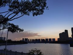 -五缘湾湿地公园