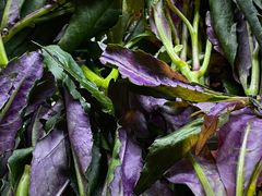 -恋羊时代黑山羊火锅(滨海大道店)