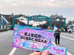 -荷兰花海