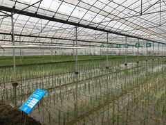 -上膳源有机农场