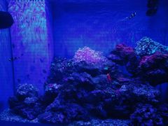 -石家庄海洋公园