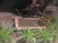 -荣小馆(温州智慧谷店)