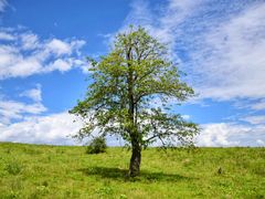 -硗碛藏寨·神木垒景区