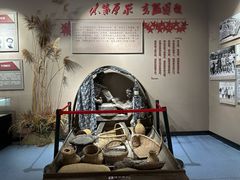-泗洪洪泽湖湿地景区