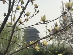 -西安汉城湖景区