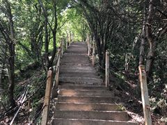 -陕西省红河谷森林公园