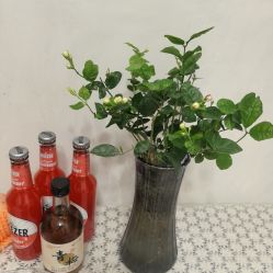 -Lily纤美·科技减脂中心