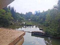 -云溪植物园