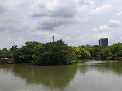 -海珠湖公园