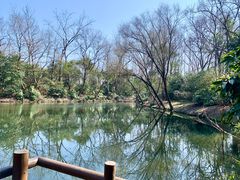 -上海滨江森林公园
