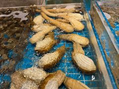 -新丁香海鲜酒店(银海商贸城店)