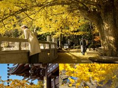 -径山寺