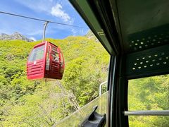 -王顺山国家森林公园