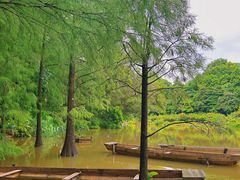 -深圳仙湖植物园